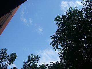 090601e7a9bacimg60291 090601e7a9bacimg60291
