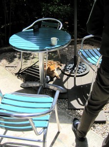 IMG_0256 IMG_0256