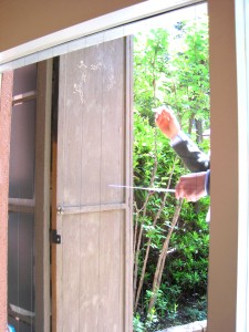 IMG_0257 IMG_0257