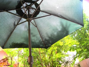 IMG_0599
