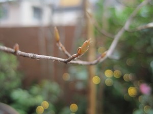11 03 02_0468