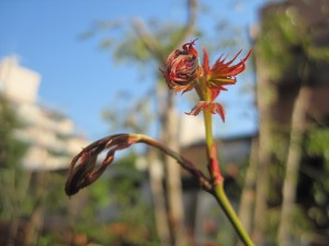 11 03 28_0510