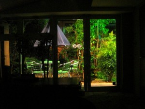 IMG_4867