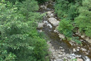 KAWA