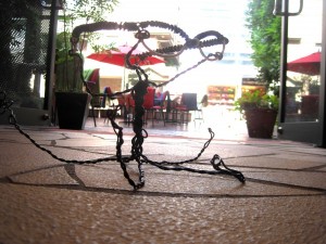 IMG_5857
