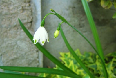 005