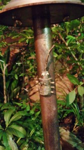 DCIM0406