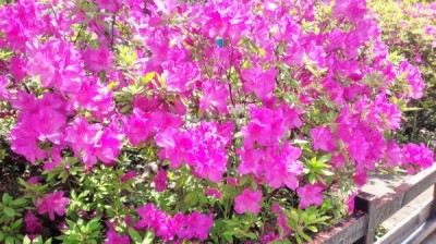 IMG_20140504_102636