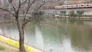 160223市ヶ谷