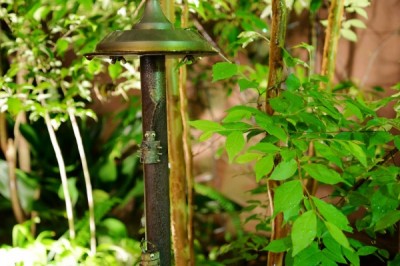 DSC_0222縮小30